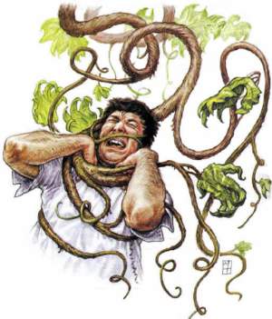 File:AssassinVine03.jpg